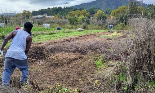 Planta la teva llavor