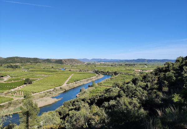 Defensem el Xúquer!  No a l'espoli del Xúquer i l'Albufera!'s header image