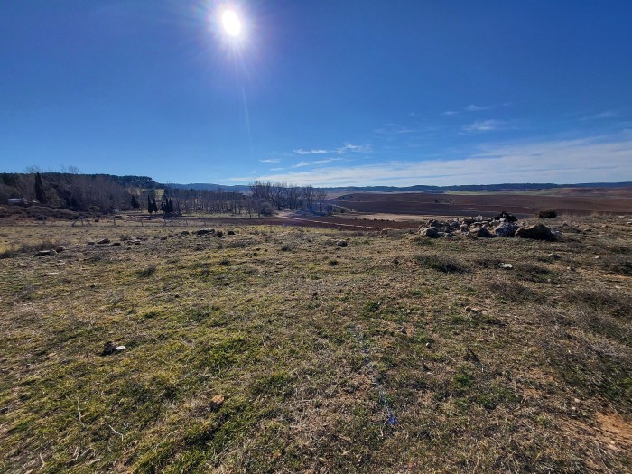 20250119-134617.jpg