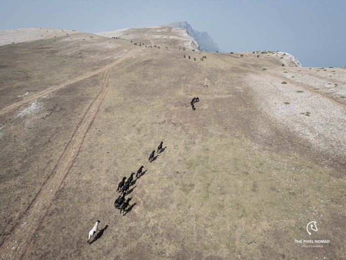240820-pottok-sierra-andia-drone-73.jpg