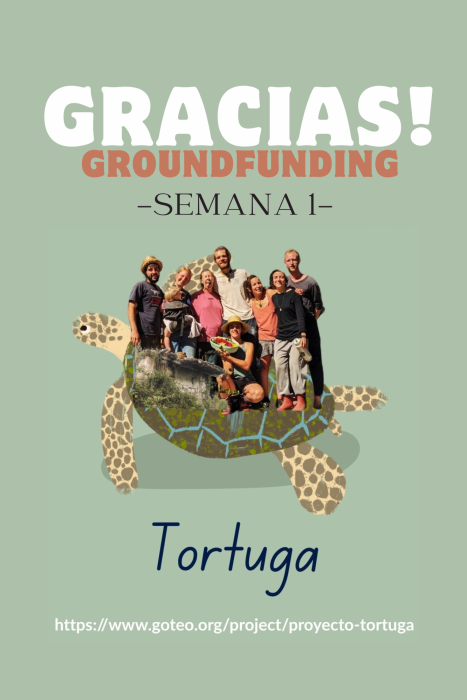 ¡MUCHÍSIMAS GRACIAS! 🐢