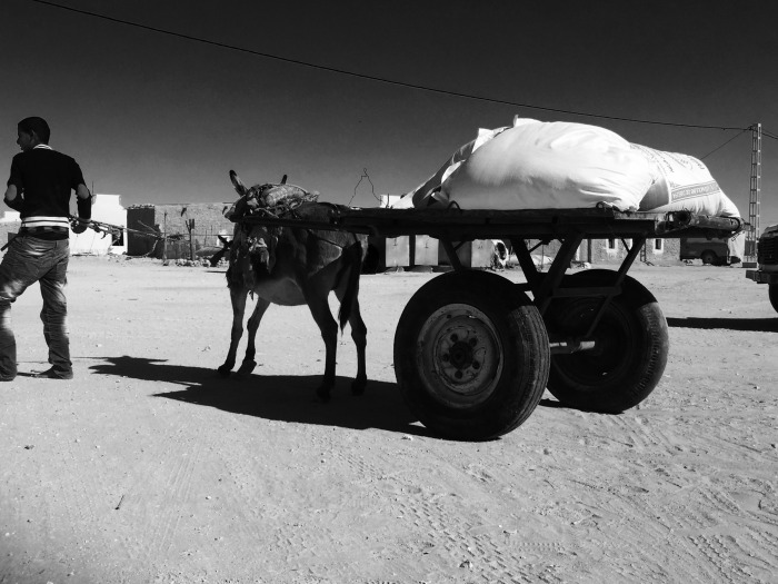 COMIENZA LA IMPLEMENTACIÓN DEL PROYECTO