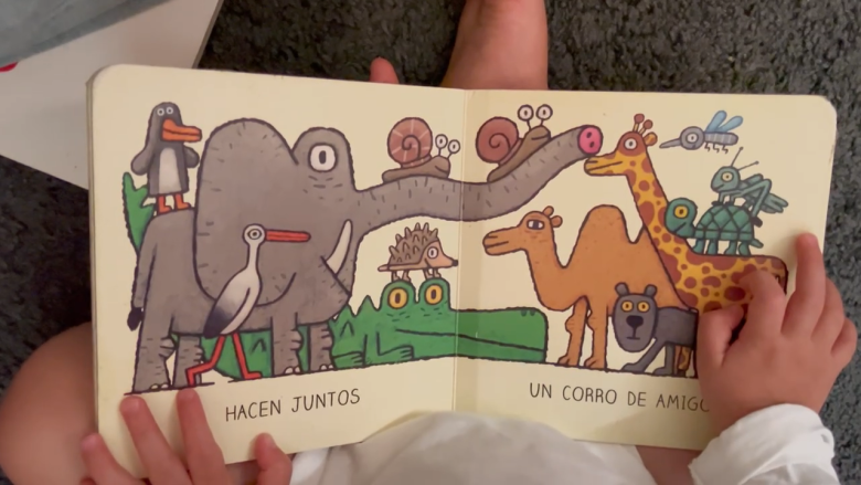 Header image